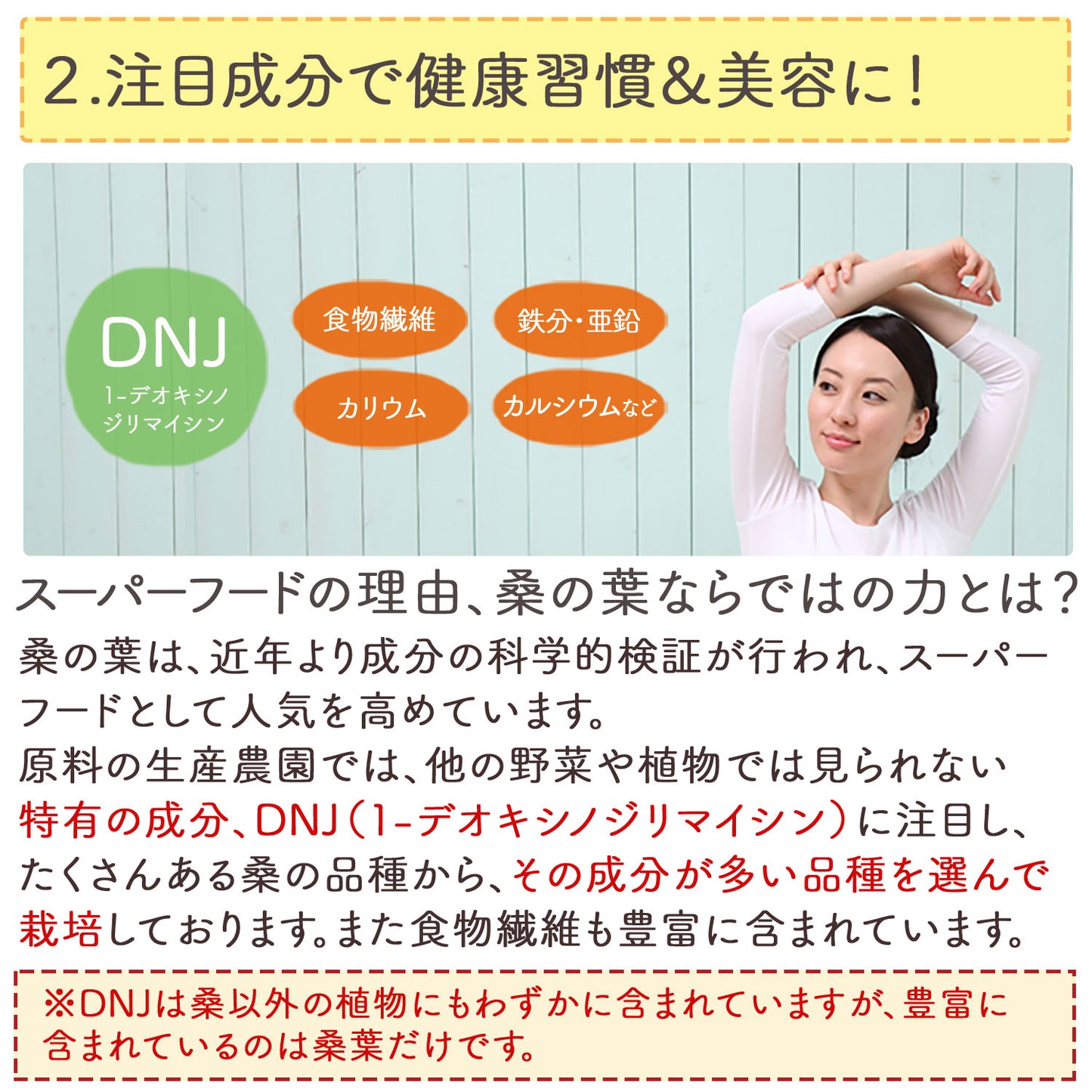 オーガニック 有機JAS認定 滋賀県産 「有機桑の葉粉末」100g