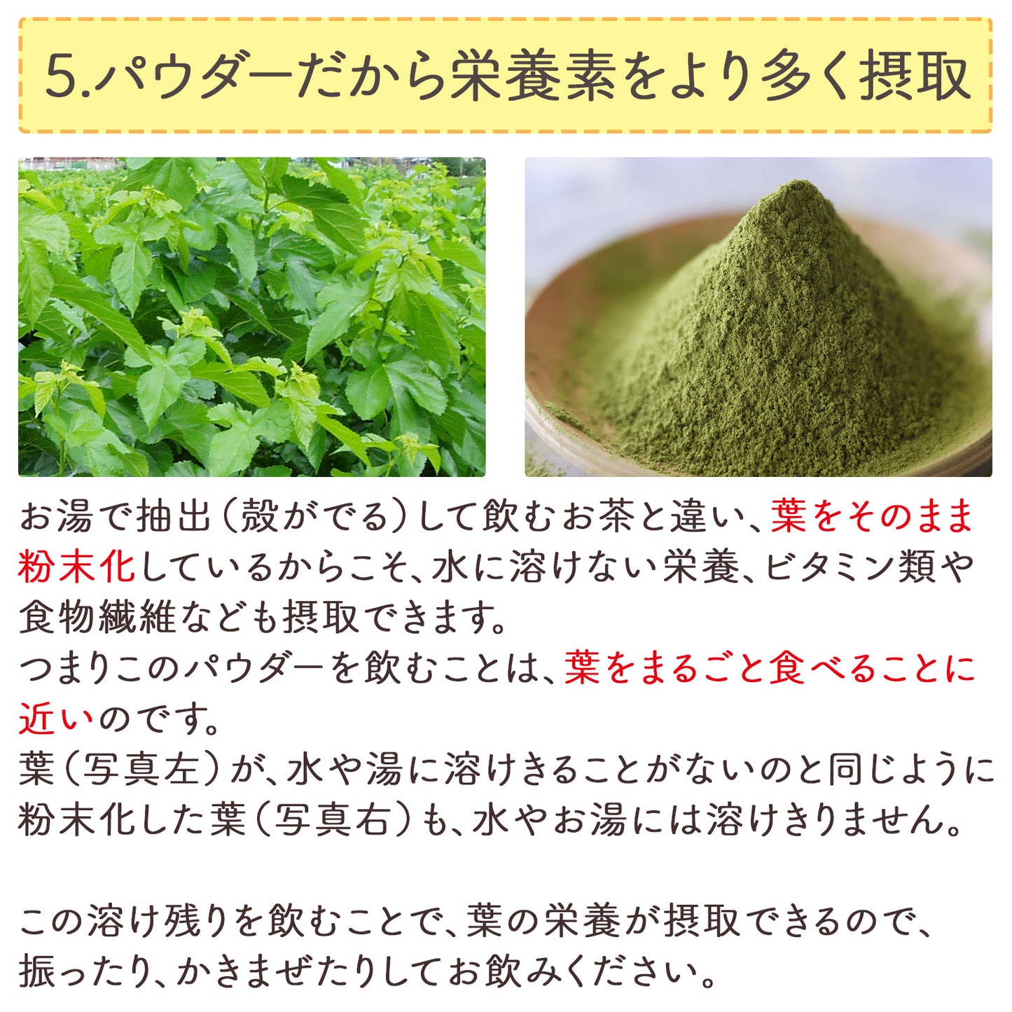 オーガニック 有機JAS認定 滋賀県産 「有機桑の葉粉末」100g