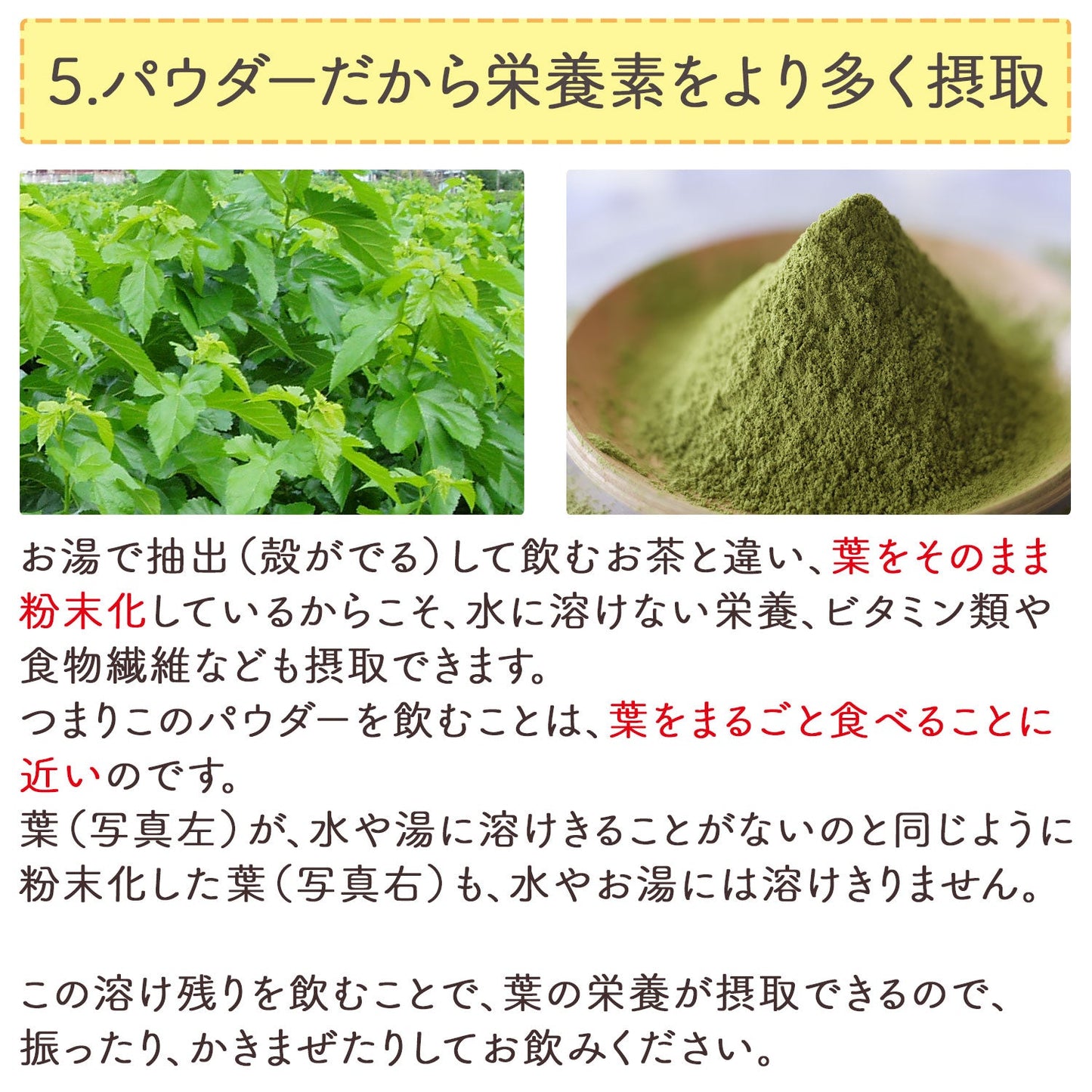 オーガニック 有機JAS認定 滋賀県産 「有機桑の葉粉末」100g
