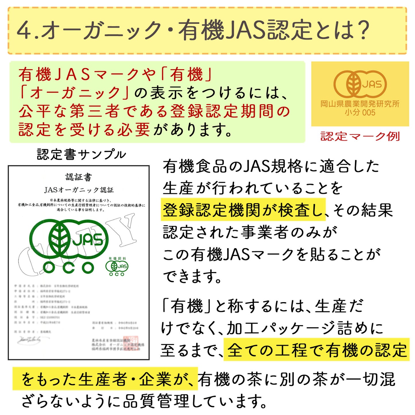 オーガニック 有機JAS認定 滋賀県産 「有機モリンガ粉末」100g