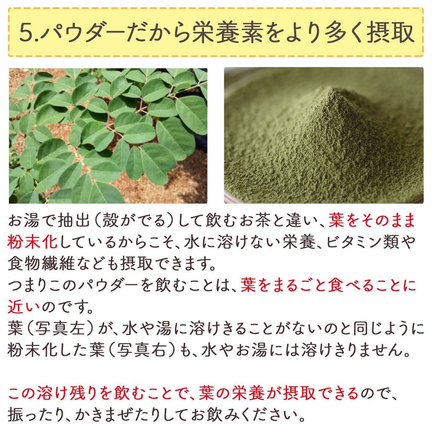 オーガニック 有機JAS認定 滋賀県産 「有機モリンガ粉末」100g