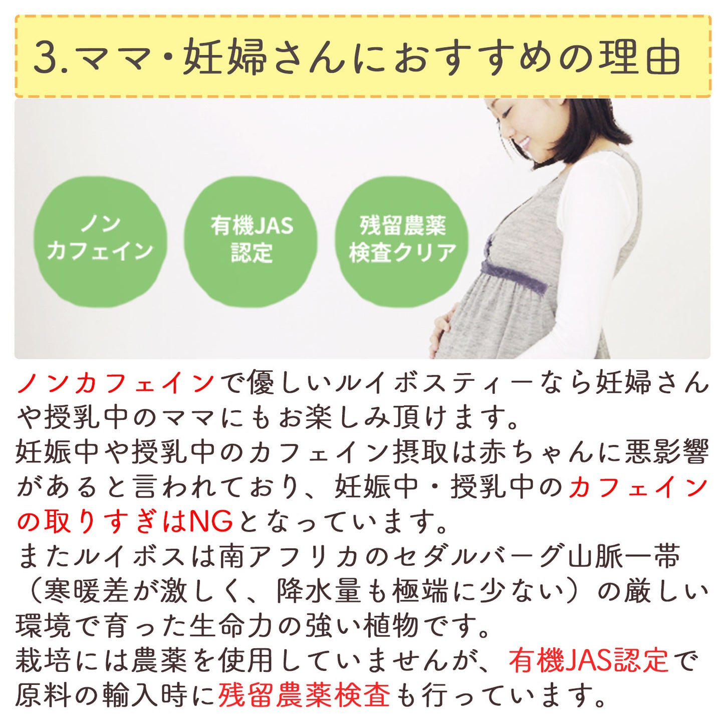 オーガニックルイボスティー（最上級グレード） 2g （ ティーバッグ ）