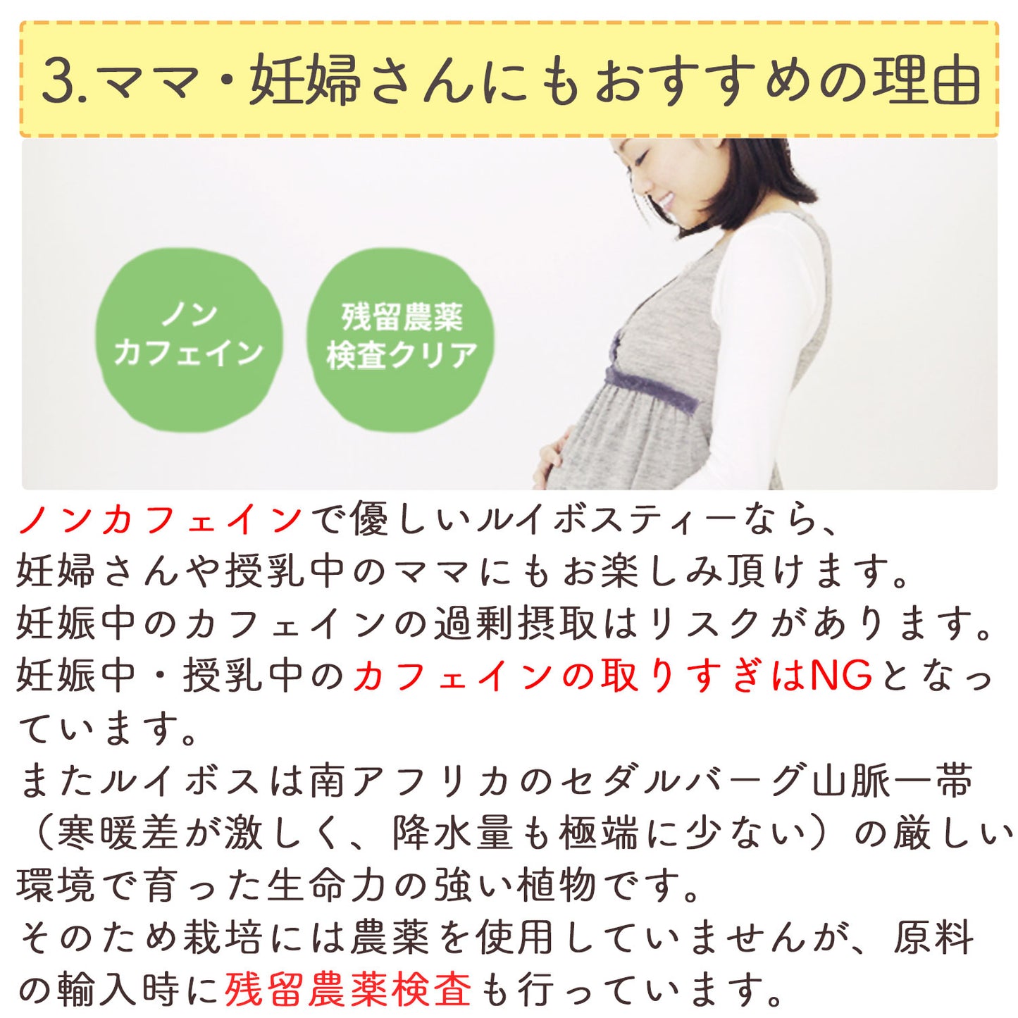 ルイボスティー 2.5g（ ティーバッグ ）