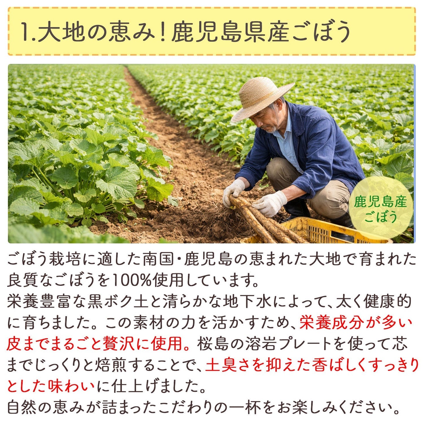 鹿児島県産 桜島溶岩焙煎のごぼう茶 2g x 30p（ ティーバッグ ）