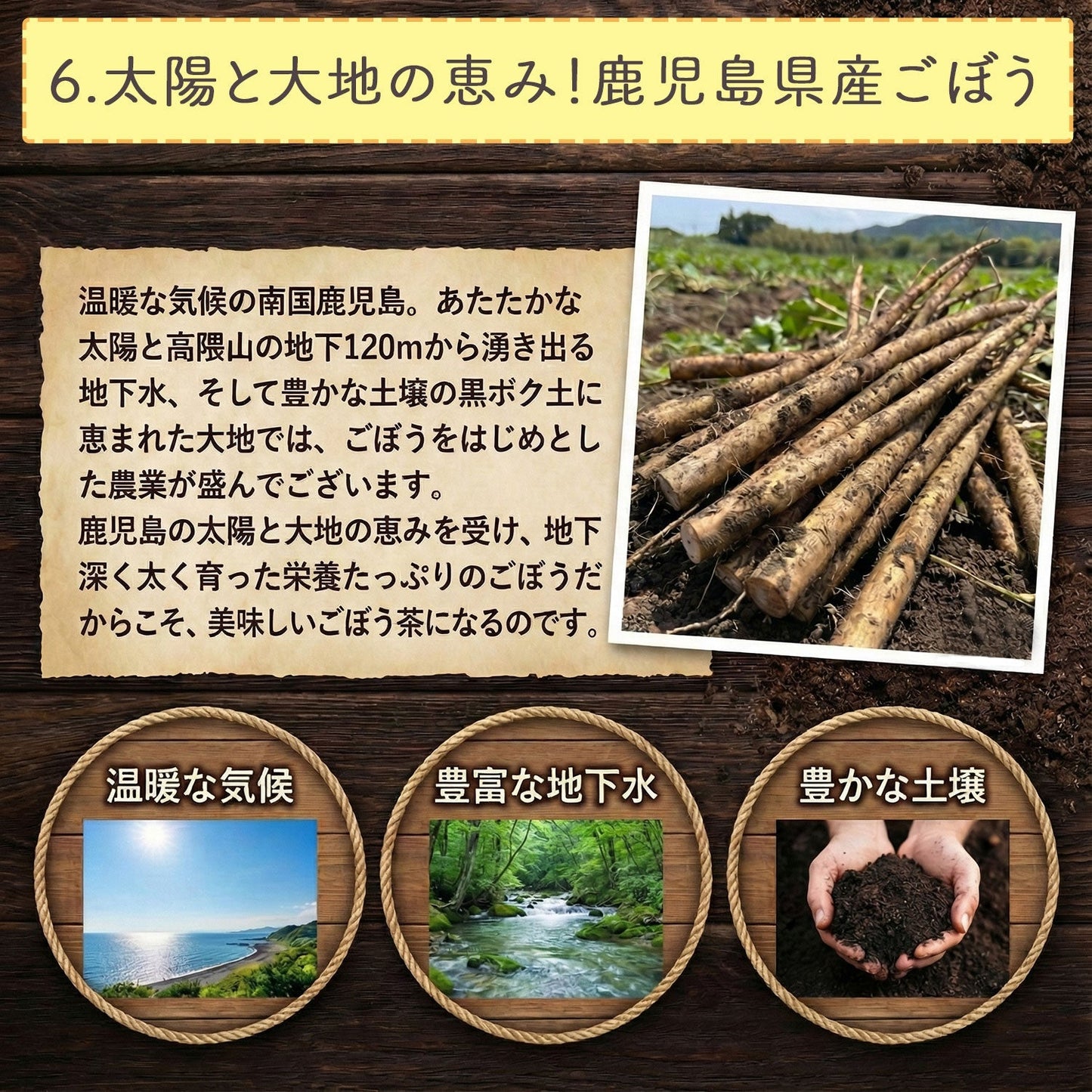 鹿児島県産 桜島溶岩焙煎のごぼう茶 2g x 30p（ ティーバッグ ）