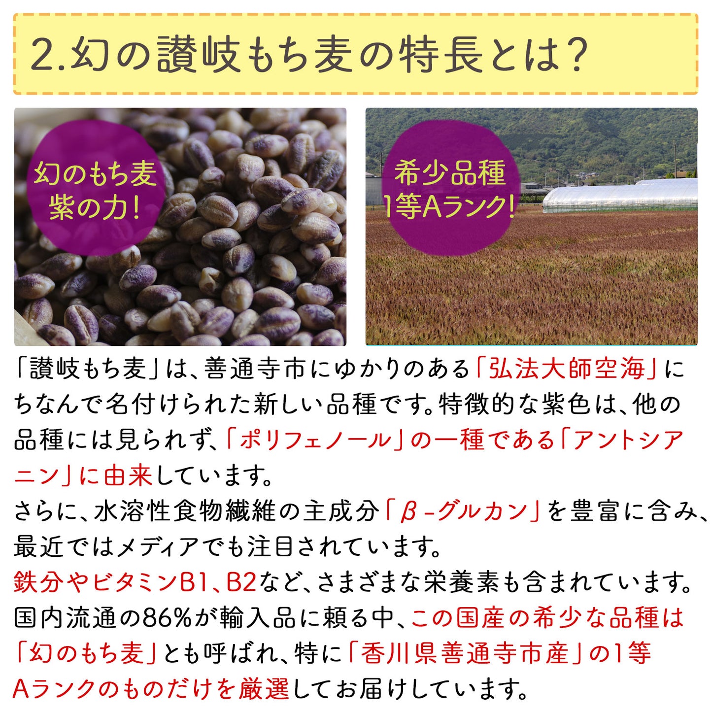 機能性表示食品 讃岐（香川県産）もち麦 400g