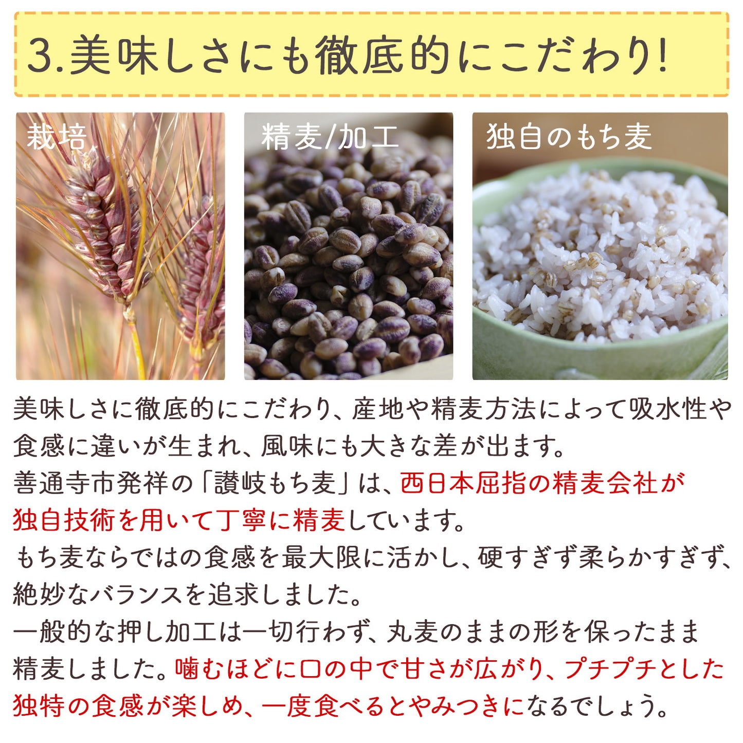 機能性表示食品 讃岐（香川県産）もち麦 400g