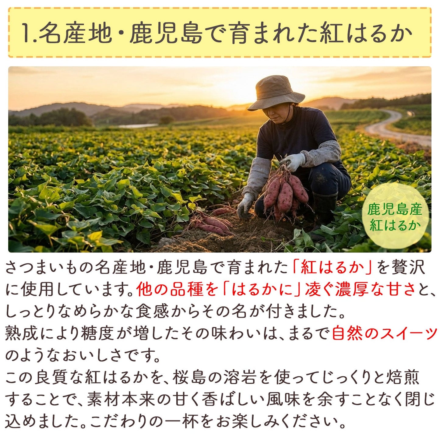 鹿児島県産 桜島溶岩焙煎のさつまいも茶 3g x 30p（ ティーバッグ ）