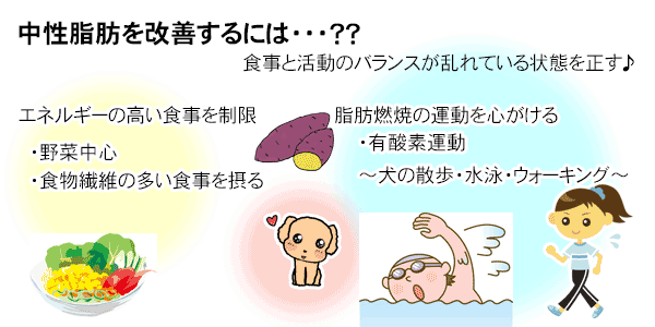 [ トクホ ]中性脂肪が気になる方の「 緑の搾茶 」 4g [ 特定保健用食品 ]