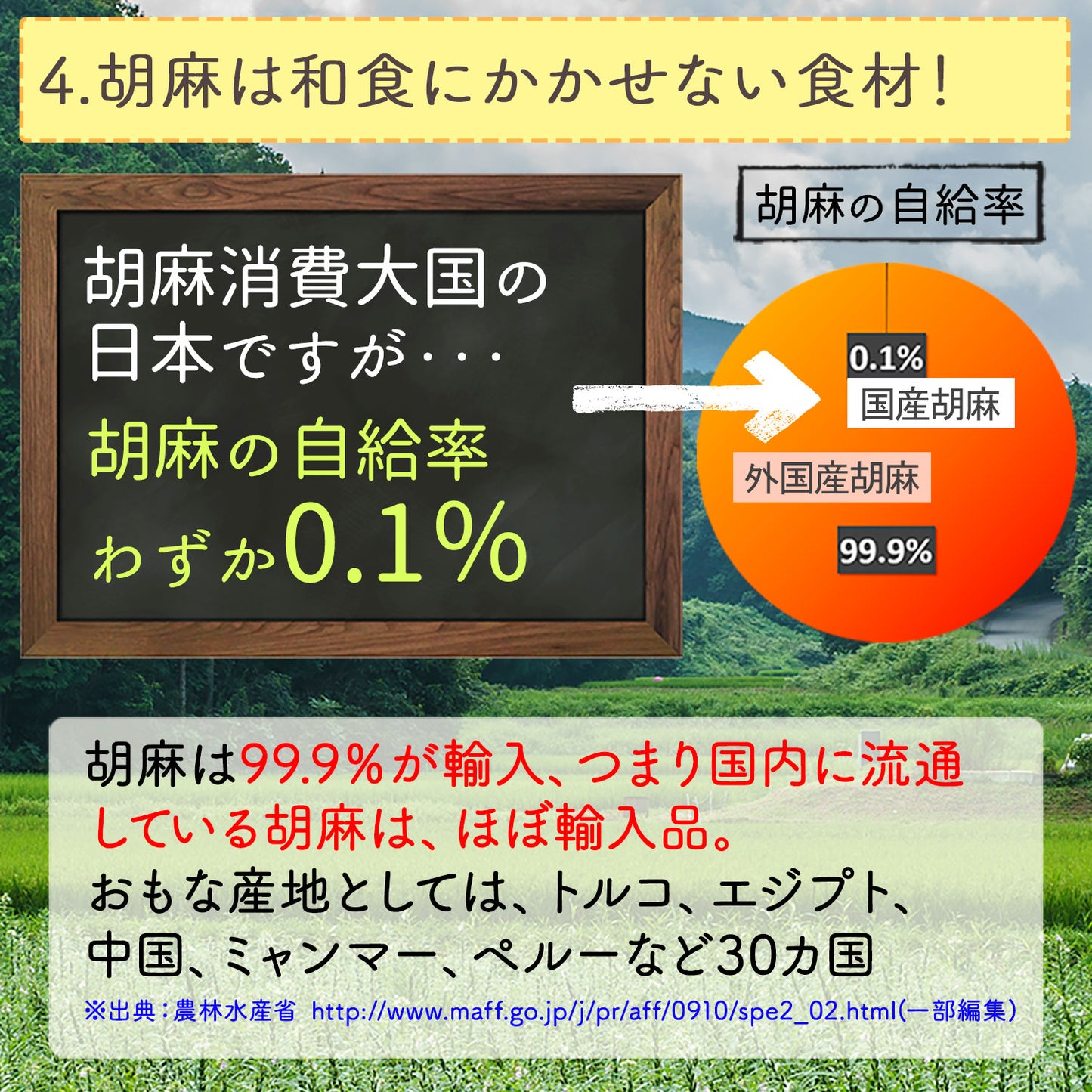 国産 白胡麻麦茶 3g（ ティーバッグ ）