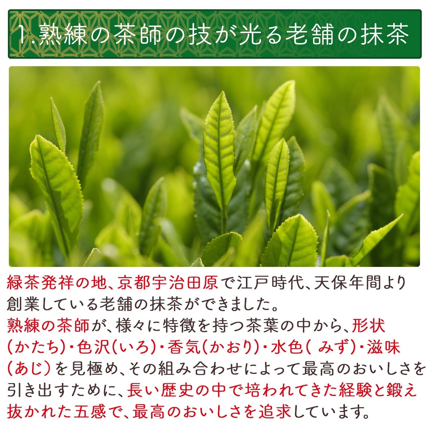 抹茶 粉末「翆の花」 100g