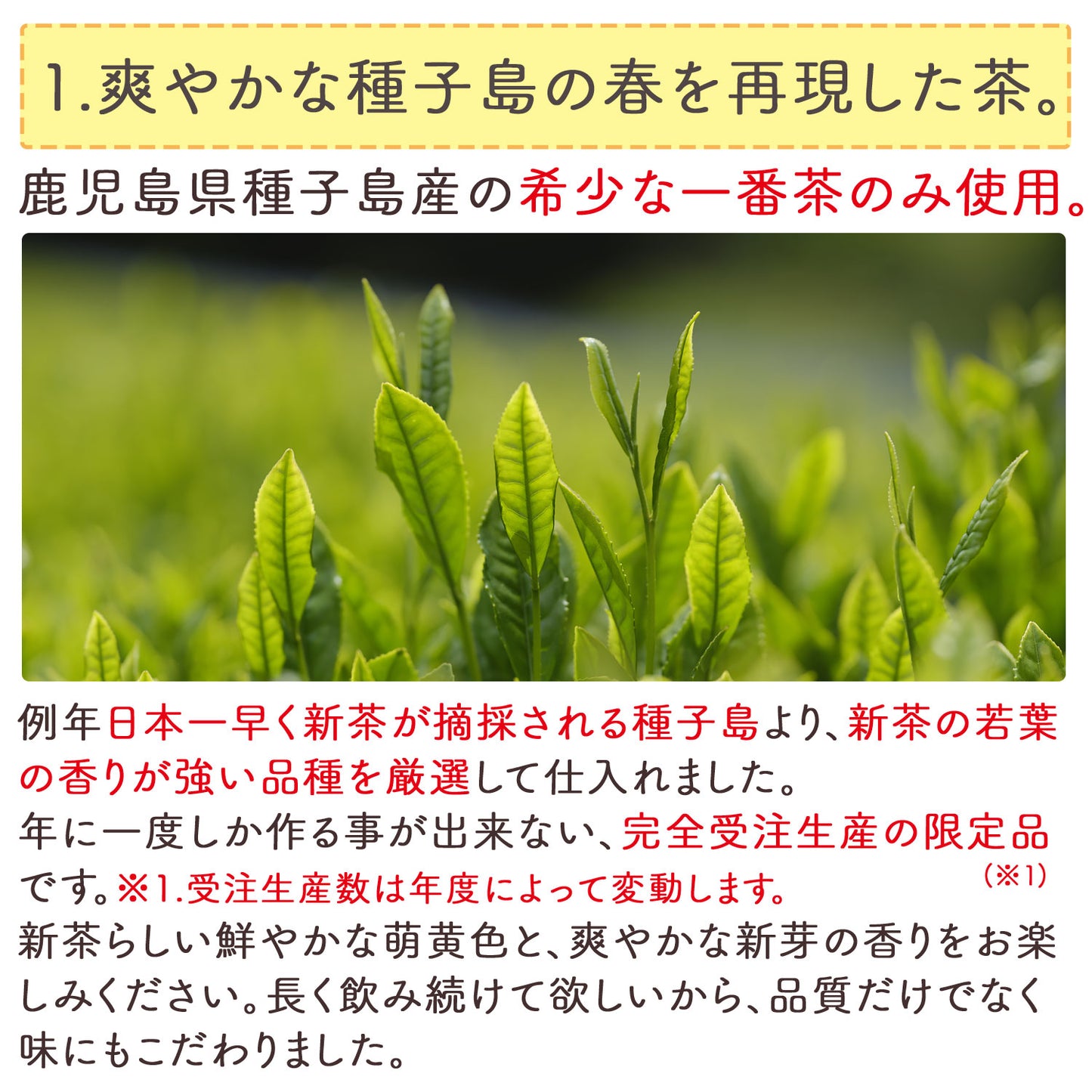 種子島産 特選粉末煎茶 種子島の春 100g