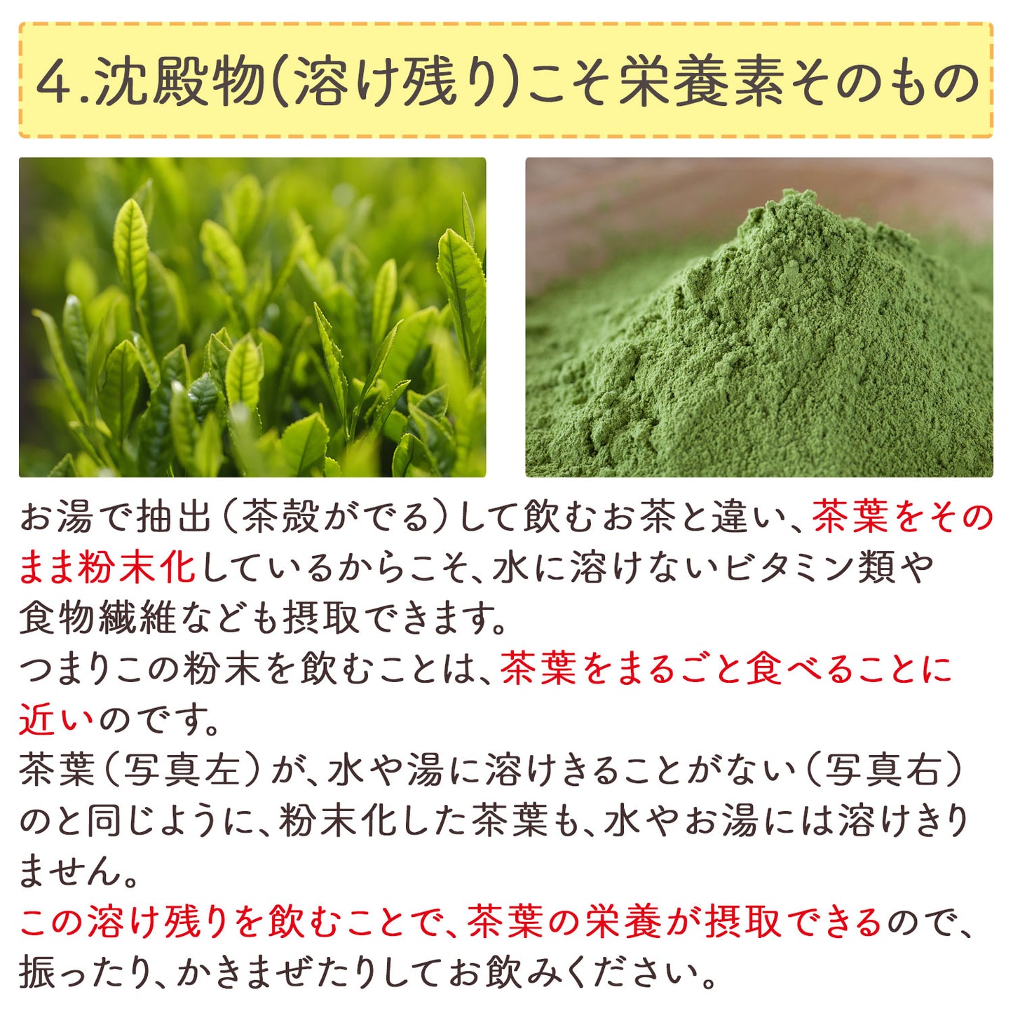 種子島産 特選粉末煎茶 種子島の春 100g
