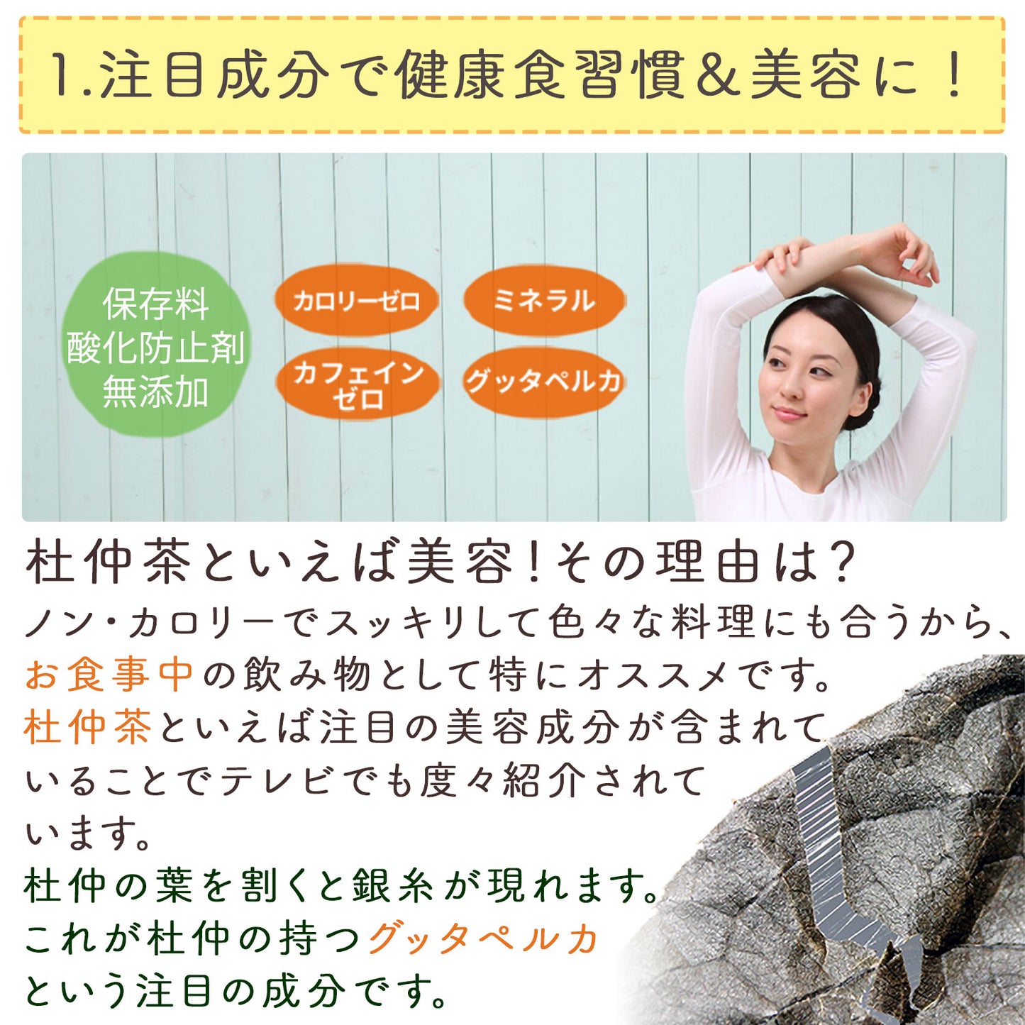 国産 杜仲茶 3g（ ティーバッグ ）