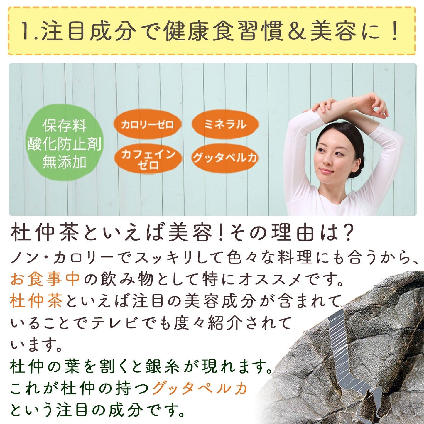 国産 杜仲茶 3g（ ティーバッグ ）