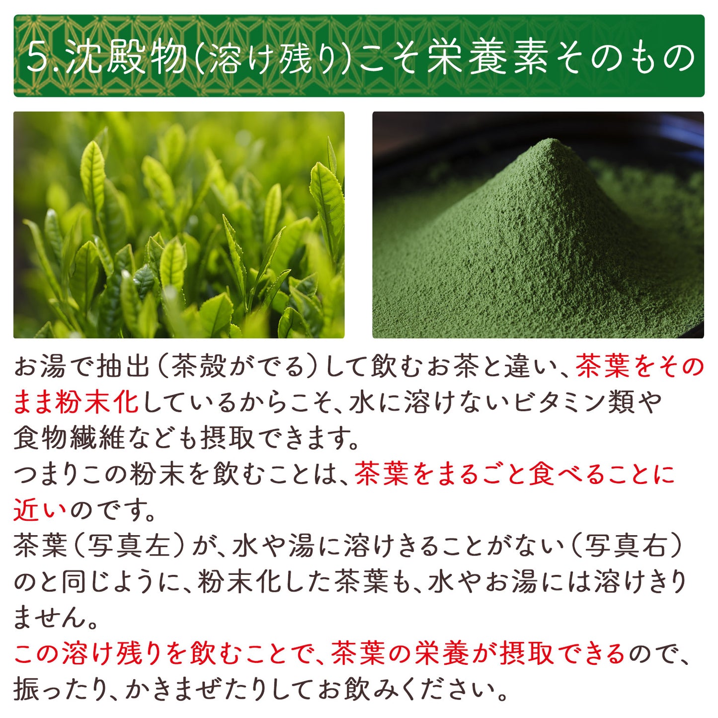 抹茶 粉末 宇治抹茶「梅の花」 100g