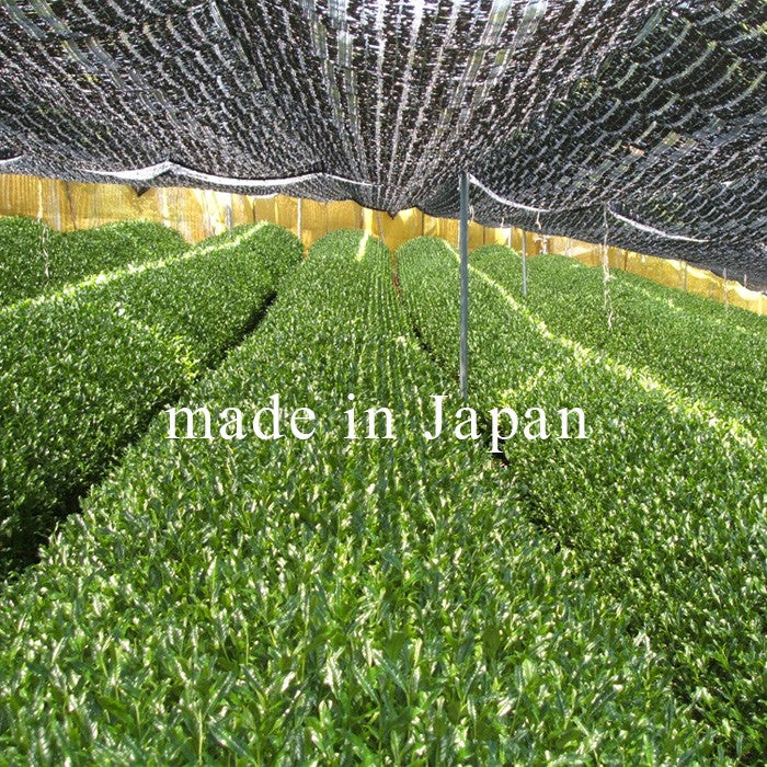 抹茶 粉末 有機抹茶 金印 30g 袋 [ 有機JAS認定 ]